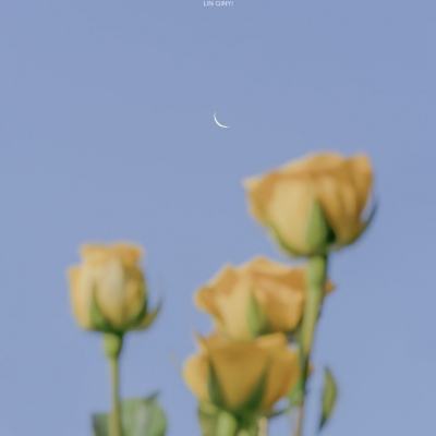 斗罗大陆3龙王传说果盘版下载