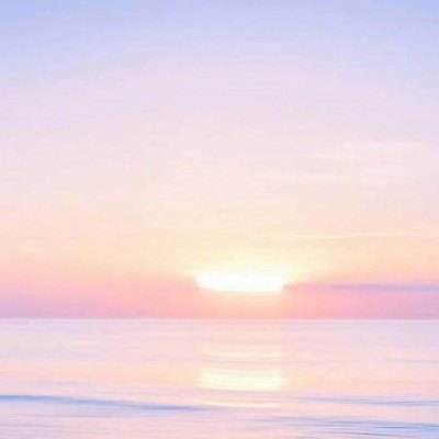 宝宝认海洋生物手机版下载