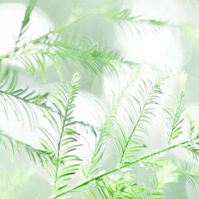 塔防也超神2内购破解版下载