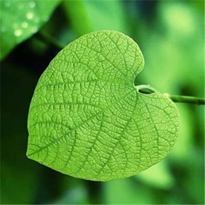 青云剑侠修仙最新版下载